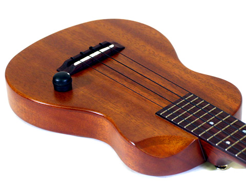 T�fs Ukulele EC-100�E�}�z�K�j�[�E�P�[�X�t