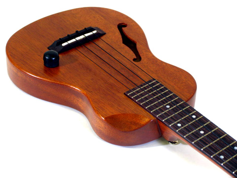 T�fs Ukulele ECF-100�E�}�z�K�j�[�E�P�[�X�t