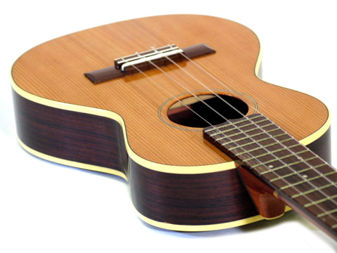 ���� Concert �X�v���[�X/���[�Y�E�b�h�@3/4�{�f�B