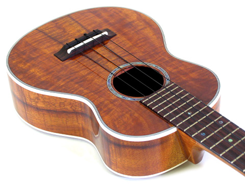 T�fs Ukulele CS-220pf�@�R���T�[�g�E�J�[���[�R�A