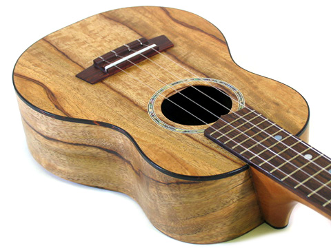 Matsui Ukulele Concert �`���R���[�g�n�[�g�}���S�[ 