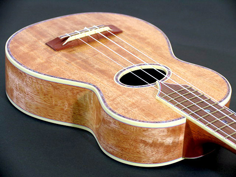 Maui Music Concert Mango �gWillie K�h 