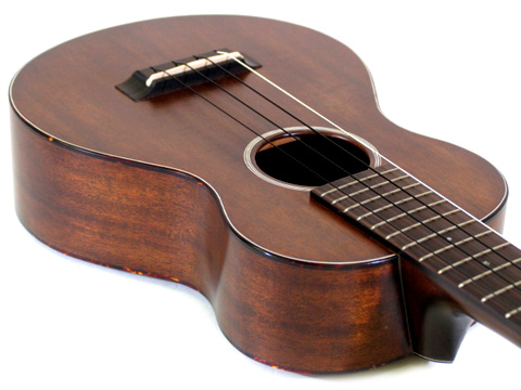Naturel Concert �}�z�K�j�[ �J�X�^��12F
