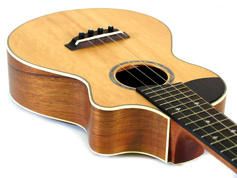 Naturel Tenor TC-SKO1 �X�v���[�X / �n���C���R�A 