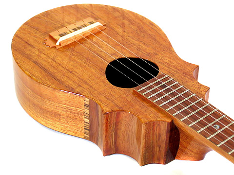 T�fs Ukulele EC-100�E�}�z�K�j�[�E�P�[�X�t