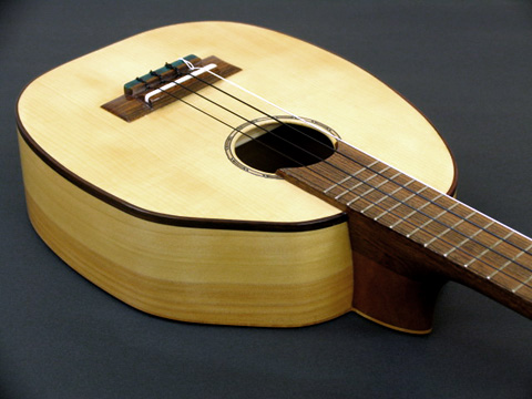 Ka Lani�@ Concert�Erice ukulele�EAldebaran�hFlamenco�h