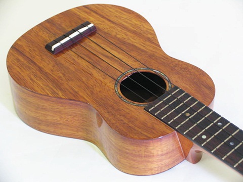 T�fs SDL-200 �R�A�@�����O�l�b�N 
