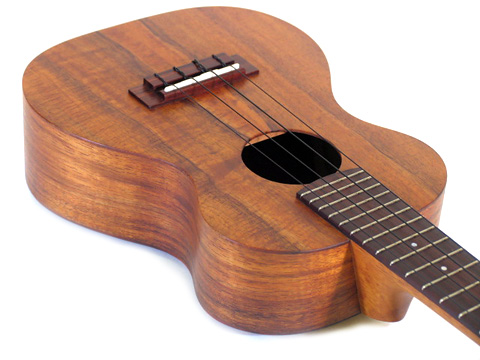 Shimo concert koa 